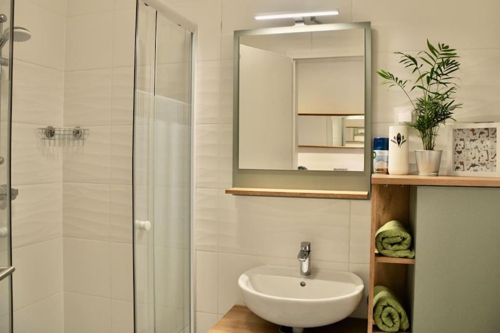 New Studio Apartment In Central Budapest - Free Parking Exteriör bild