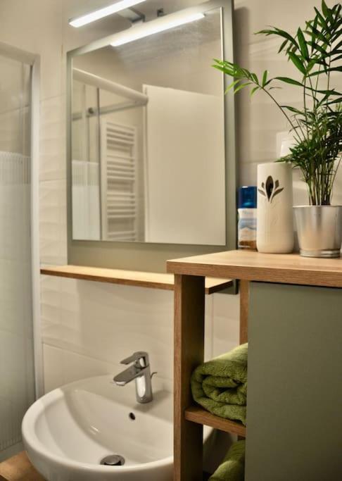 New Studio Apartment In Central Budapest - Free Parking Exteriör bild